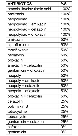 Enterococcus faecium